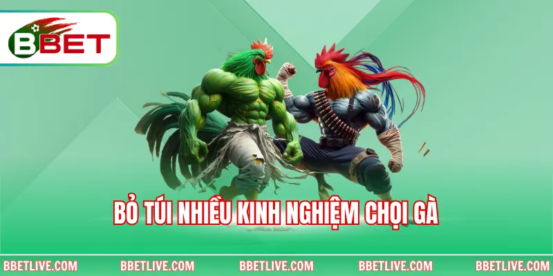 Bỏ túi nhiều kinh nghiệm chọi gà