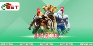Đá Gà Cựa Dao