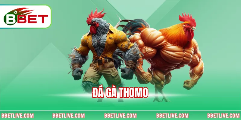 Đá Gà Thomo